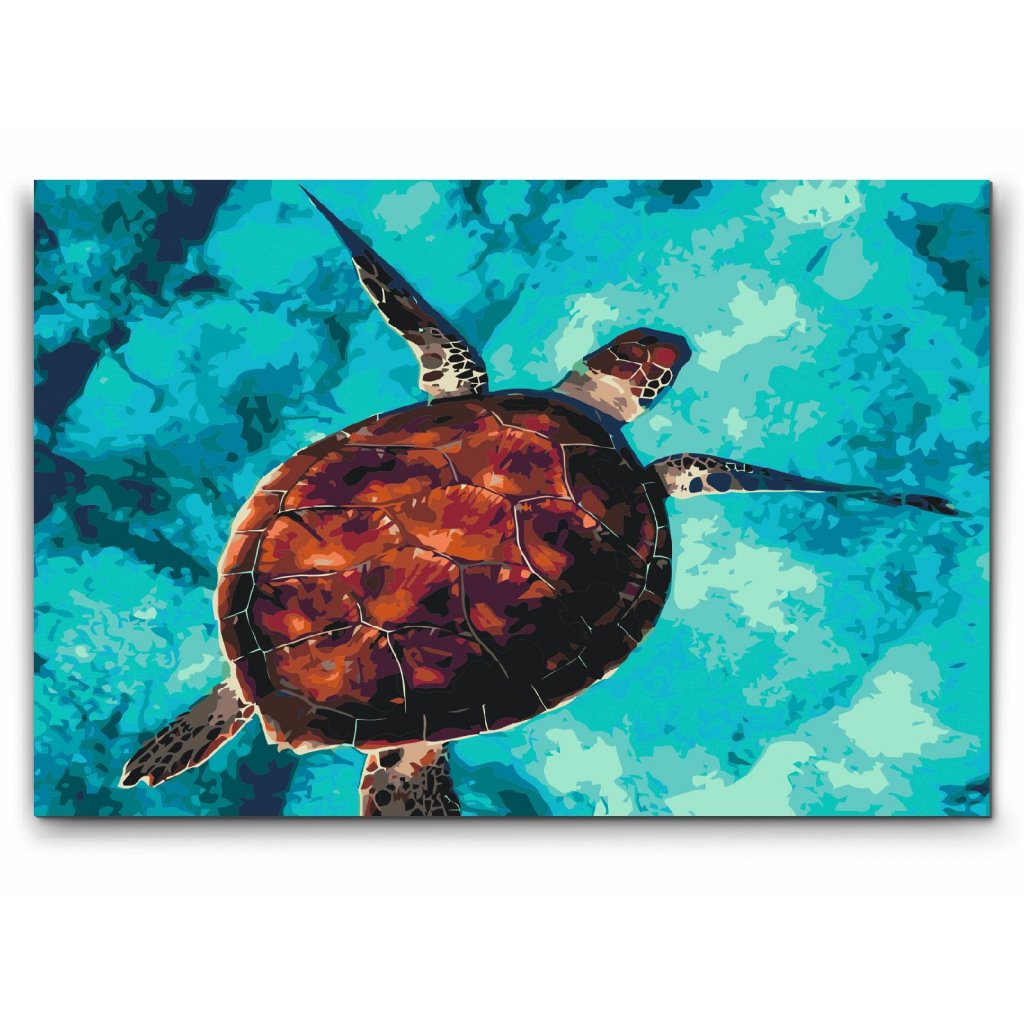 paint by numbers sköldpadda motiv