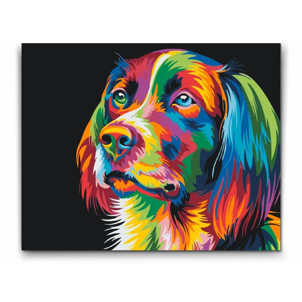 paint by numbers färgrann hund