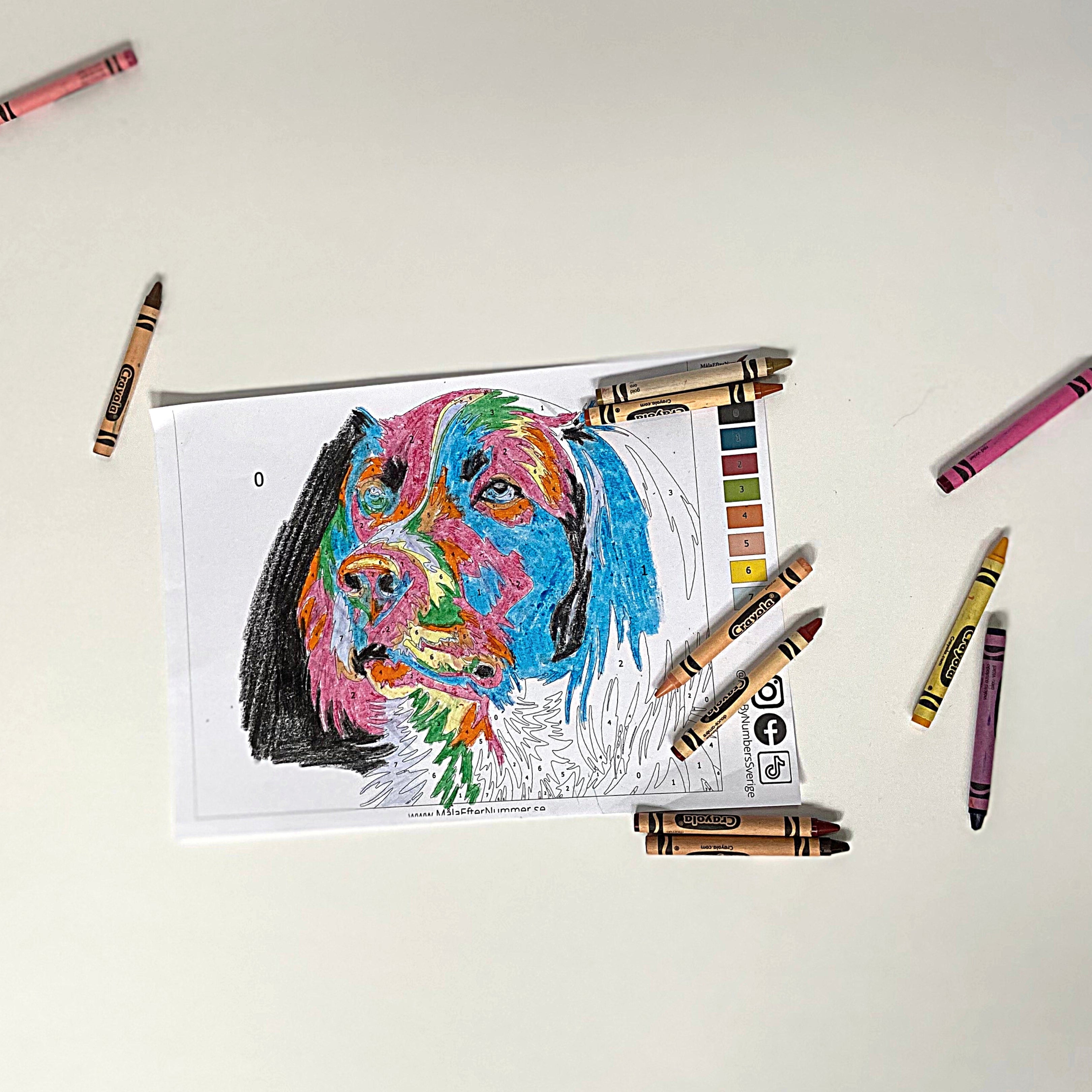 hund paint by numbers mall