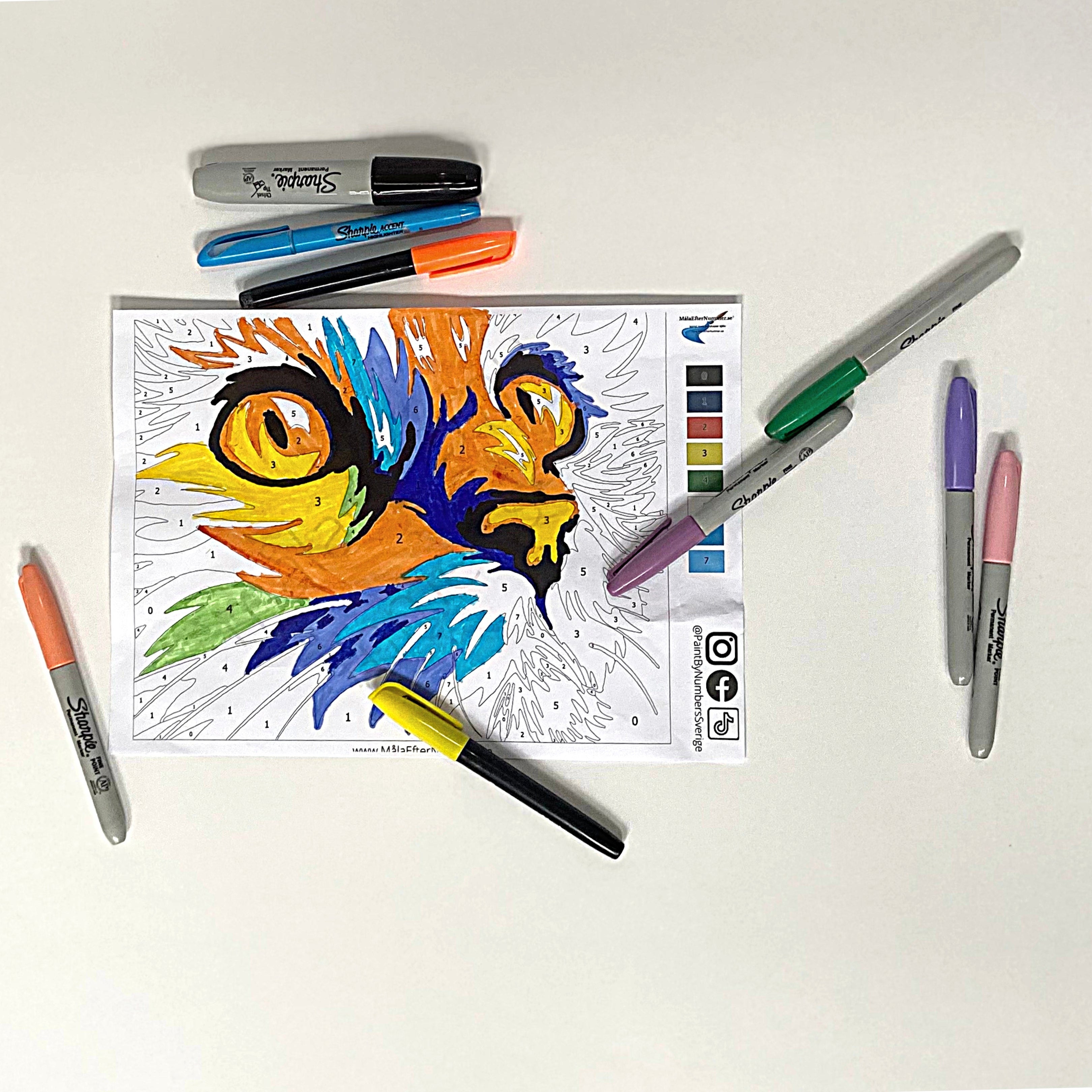 gratis paint by numbers katt