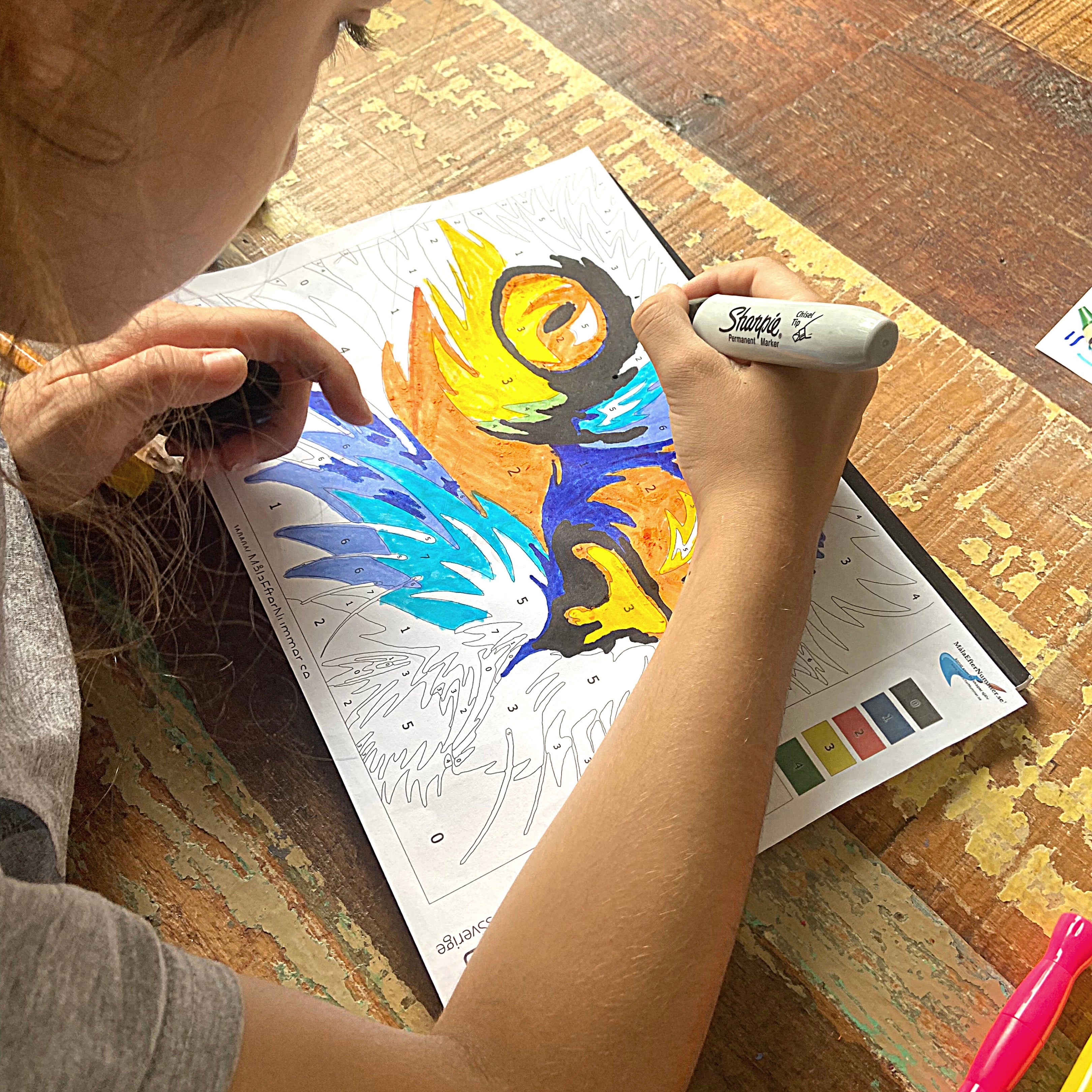 katt paint by numbers mall