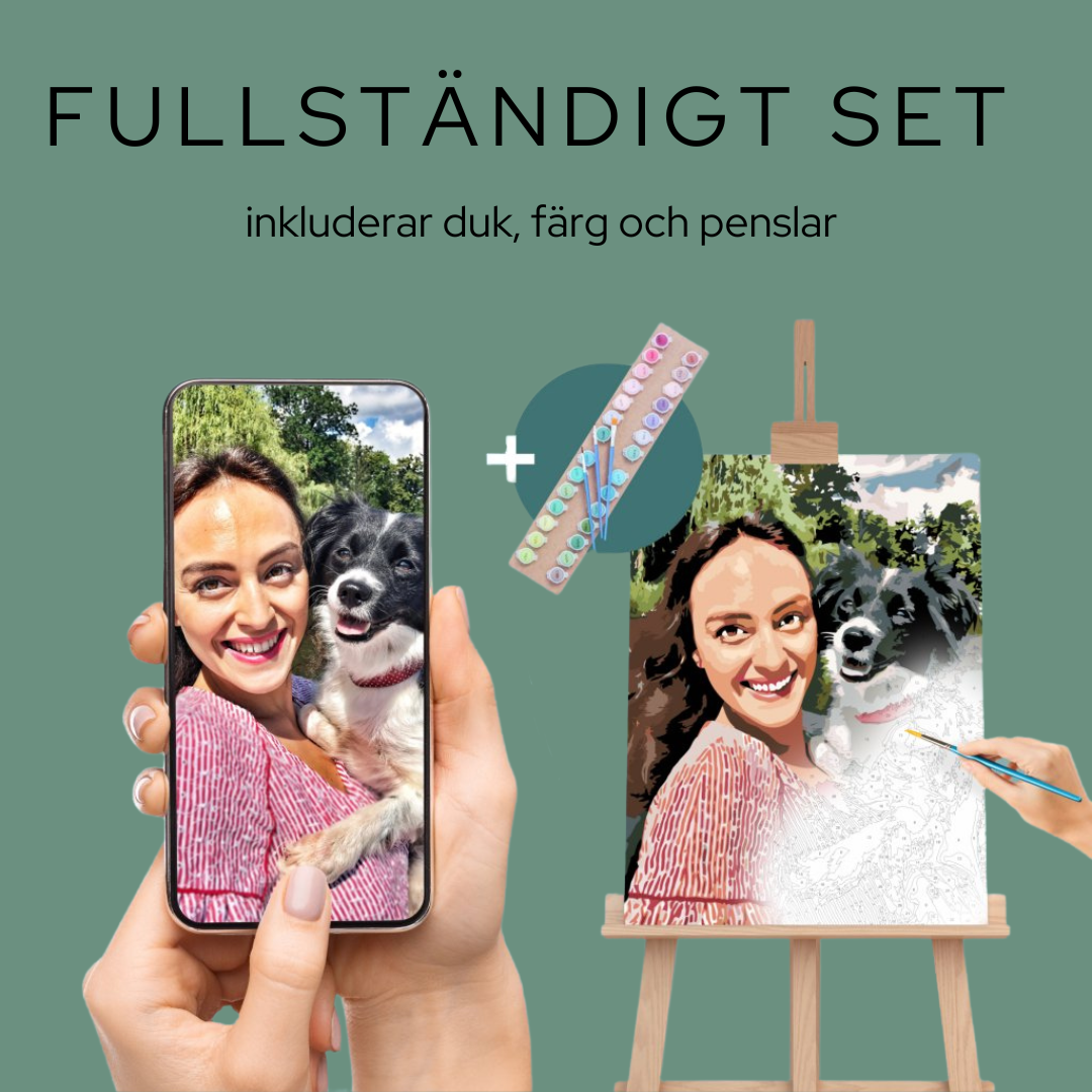 Förhandsvisning av anpassat måla-efter-nummer-motiv