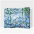 paint by numbers waterlilies monet

