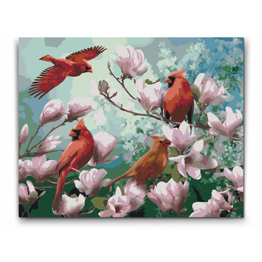 paint by numbers kardinal fågel i magnolia


