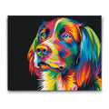 paint by numbers färgrann hund

