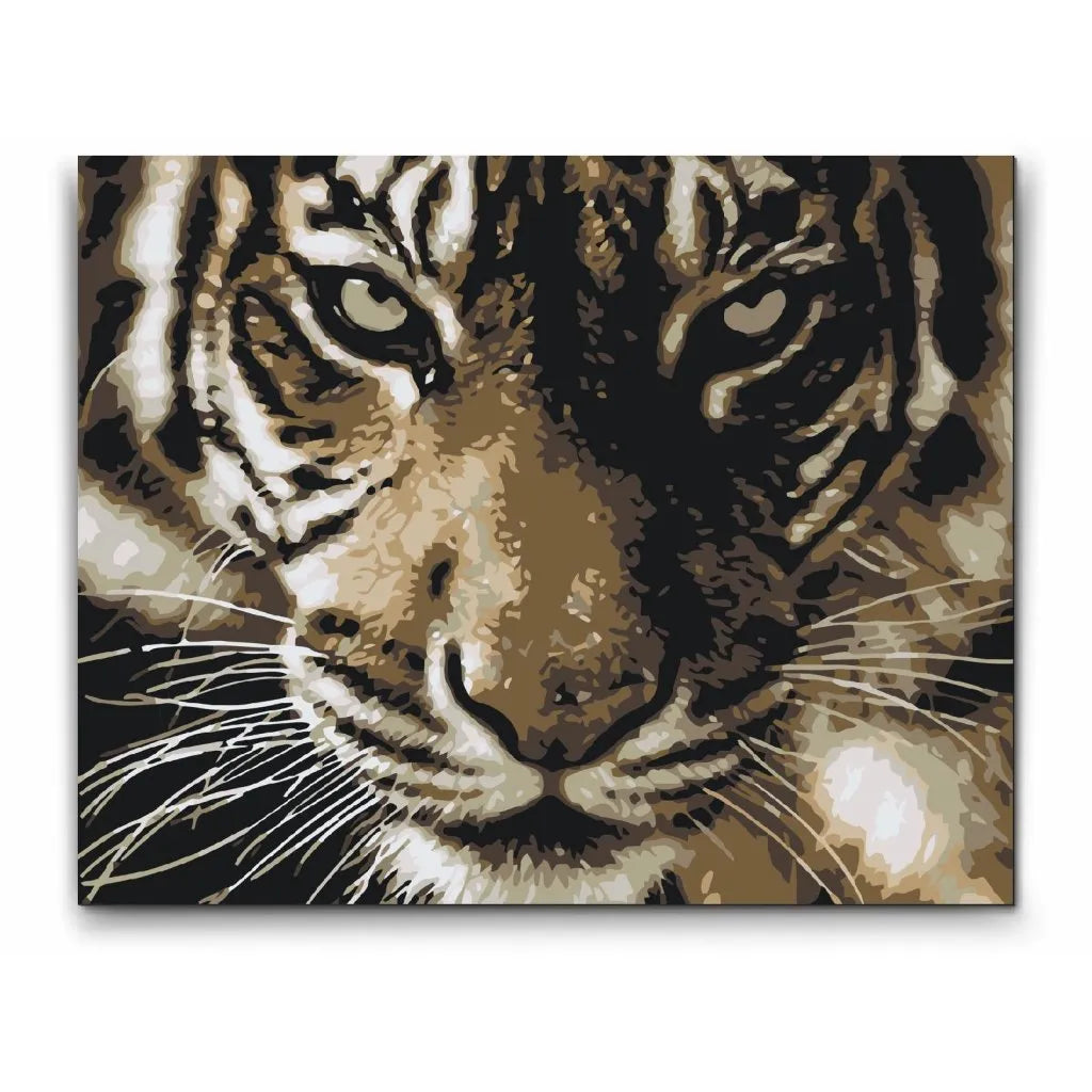 paint by numbers tiger

